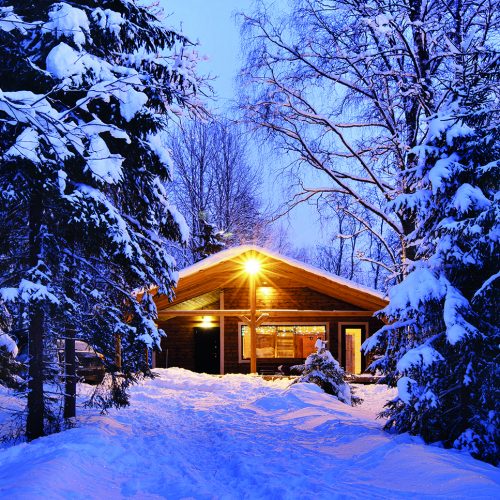 Holzhütte-im-Wald-schneebedeckt